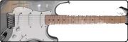 Fender Stratocaster Plus Used